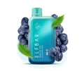 ELF BAR RAYA D1 – Blueberry Mint - Vape Shop Nagpur