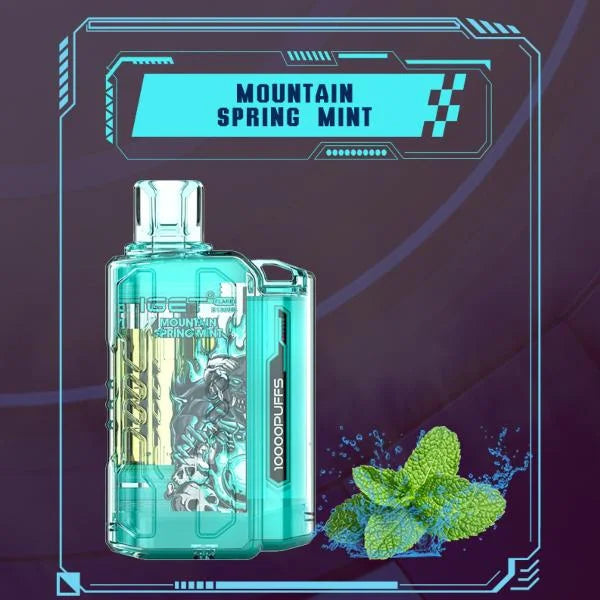 IGET FLARE B10000 – Mountain Spring Mint - Vape Shop Nagpur
