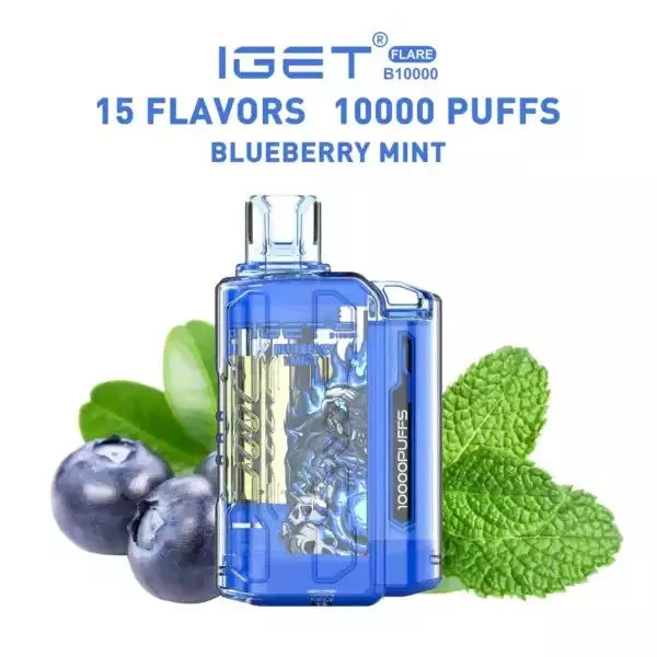 IGET FLARE B10000 – Blueberry Mint - Vape Shop Nagpur